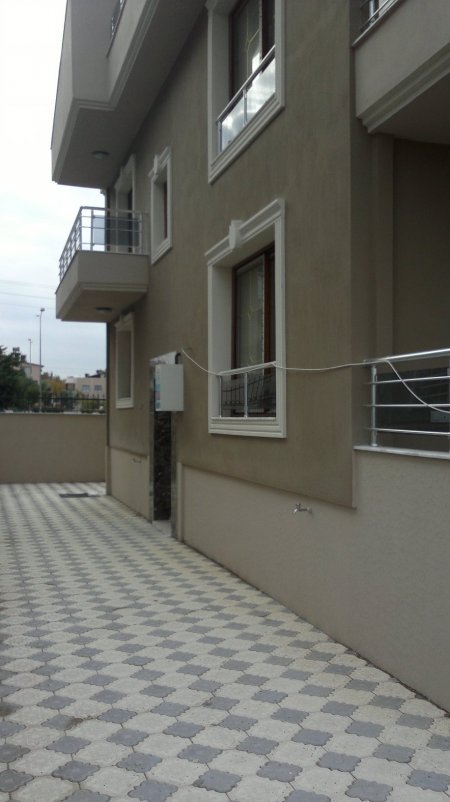 Orkide Çalışması