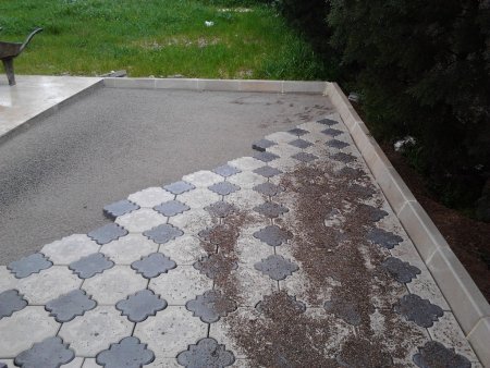 Orkide ve Çim Bordürü Uygulaması