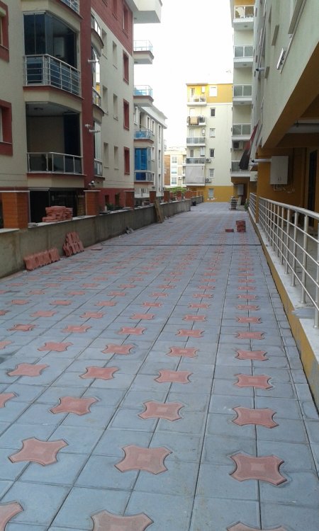 Flora Evleri Deniz Yıldızı Taş Uygulaması