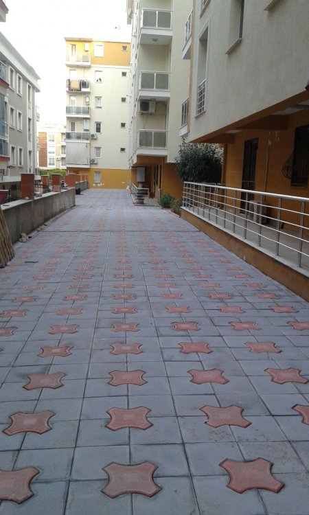 Flora Evleri Deniz Yıldızı Modeli Taş Uygulaması