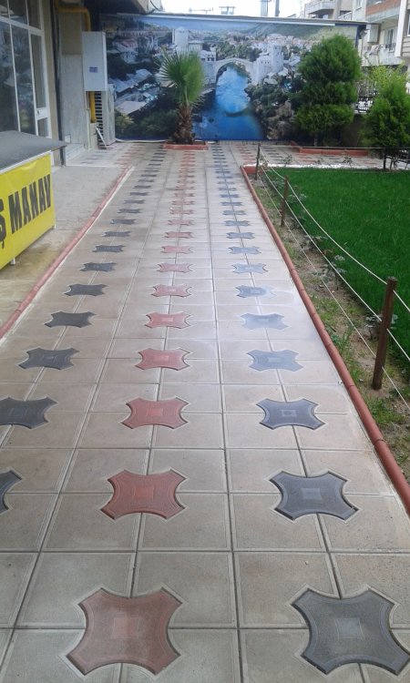 Deniz Yıldızı Modeli Taş Uygulaması