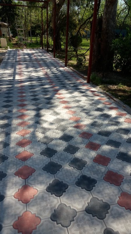 Orkide Uygulaması