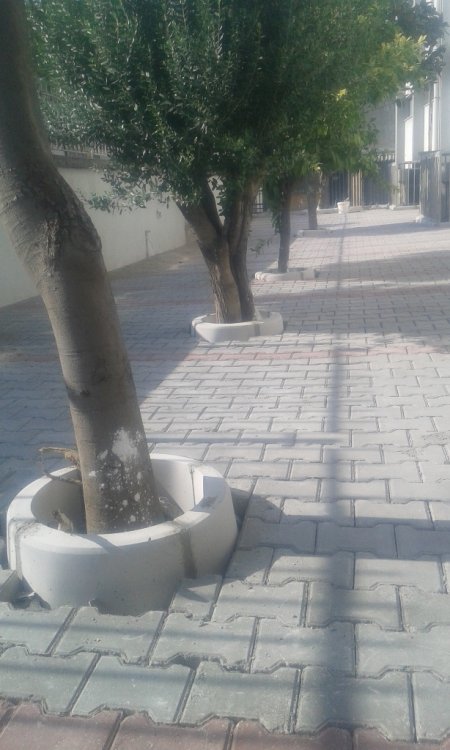 Sardis Tekstil Kilit Taş Uygulaması