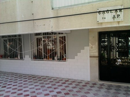 Çağlar Apartmanı Orkide Uygulaması