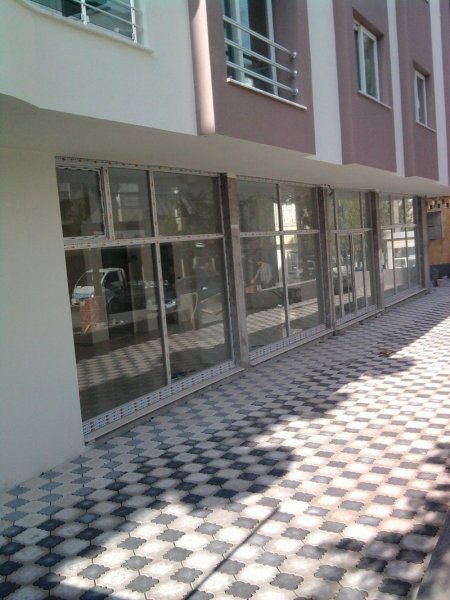 Orkide Çalışması