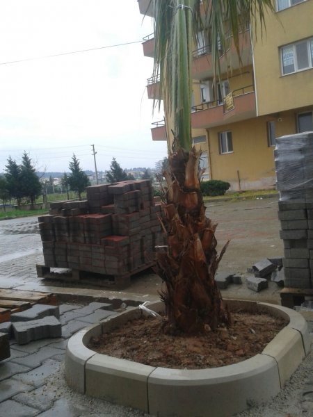 Ağaç Etrafı Bordürü
