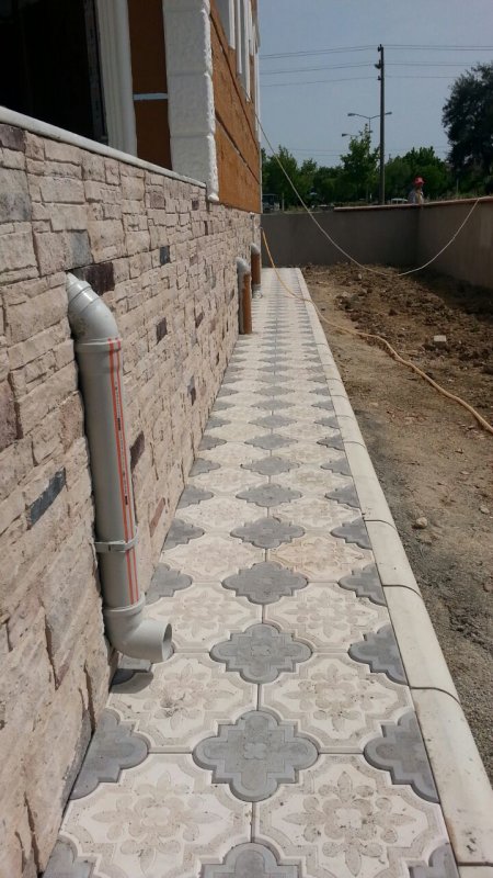 Orkide Uygulaması