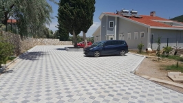 Orkide Uygulaması
